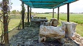 Orti urbani Roma - Fidati di te