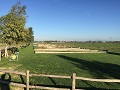 Orti urbani Roma - Fidati di te