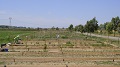 Orti urbani Roma - Fidati di te